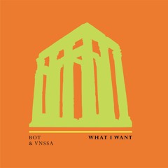 BOT & VNSSA - What I Want