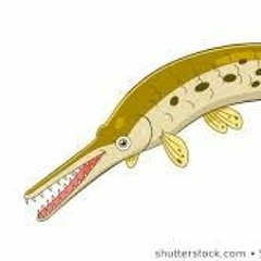 Gnarly Gar