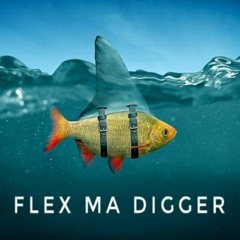 FLEX MA DIGGER / FADO X ЦЕНСС