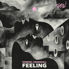 Dominic J Marshall - Feeling [Nomad's Land LP]
