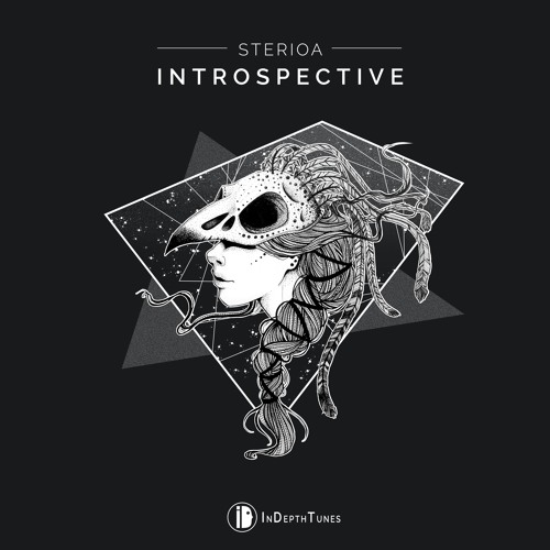IDT005 Sterioa - Introspective