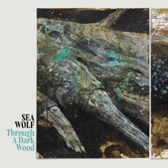 Sea Wolf - Break it Down