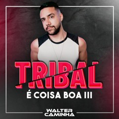 TRIBAL É COISA BOA 3 - Dezembro 2019