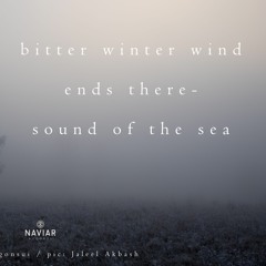 haiku #309: bitter winter wind / ends there -- / sound of the sea