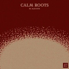 Calm Roots 3 w Alex Rita
