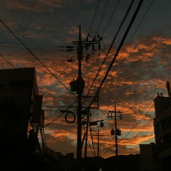 인간의 숲