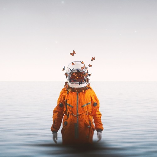 FØL ( Saga <> Ambient Light )/Amalia Fonfara