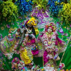 Damodarastakam Prayers By Kirtan Premi 4.11.19