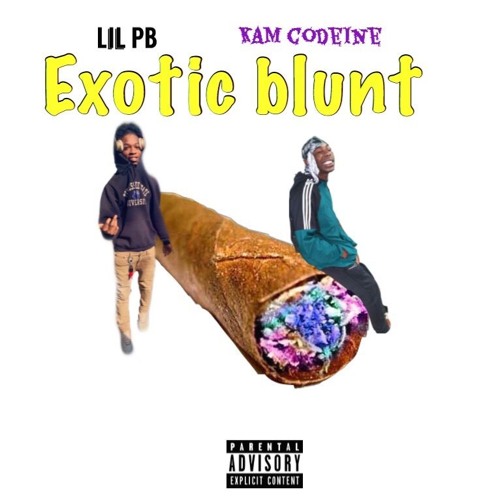Stream Kam Codeine x Lil PB - ExoTic BlunT by OMGz Entertainment