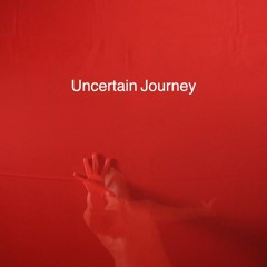 Uncertain Journey (excerpt)