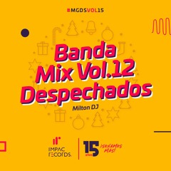 Banda Mix Vol.12 Despechados