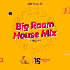 Big Room House Mix