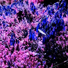 Pierre Bourne - Ballad flip - slowed/chopped w/ bass