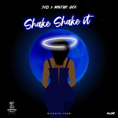 Shake Shake it(ft. Mistar Gee)