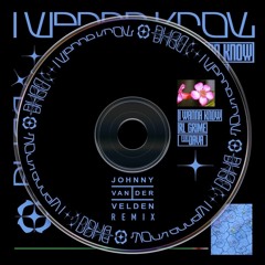 RL Grime (feat. Daya) - I Wanna Know (Johnny van der Velden Remix)