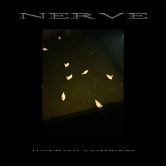 Golden Scorpio (LOVE IS NOT A SAFEROOM - AR53-02)