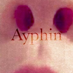 grind, spik og blábersós