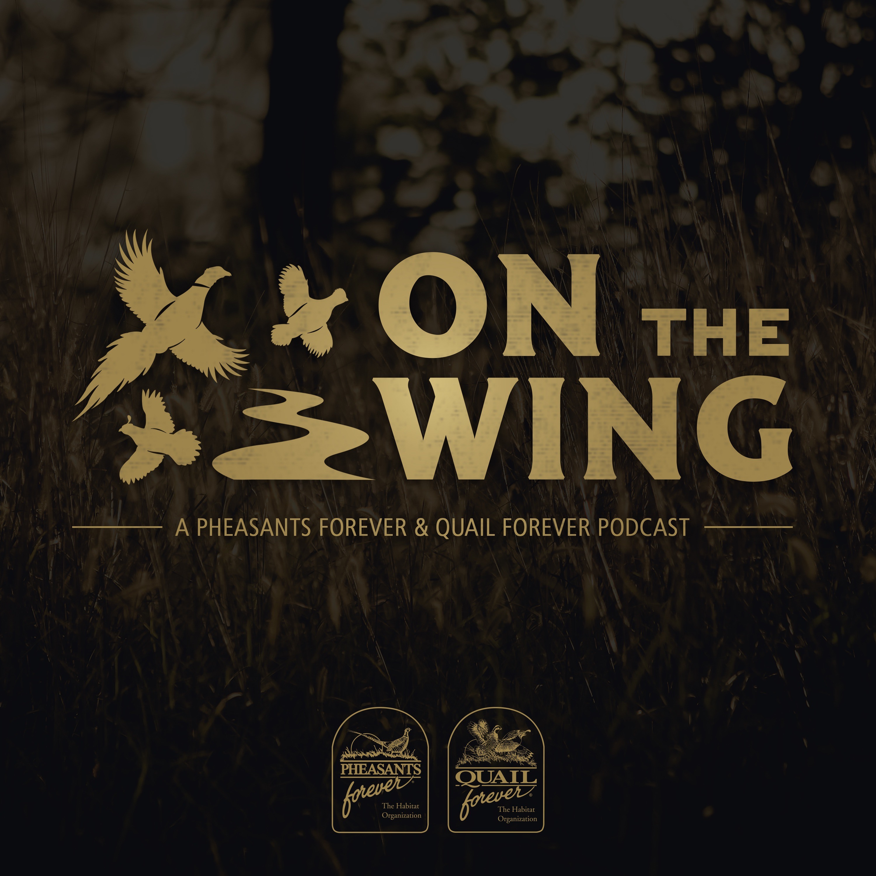 On The Wing Podcast