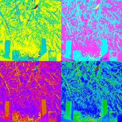 Black Walrus (over the edge mix)