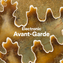 Electronic Avant-Garde