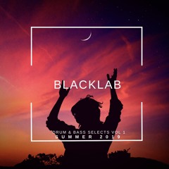 Blacklab Selects Vol 1: Summer 2019