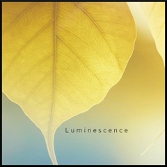 Luminescence (feat. Julie Elven)