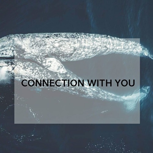 Connection With You