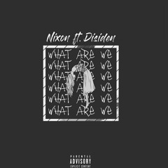 Nixon ft. Disiden - what are we