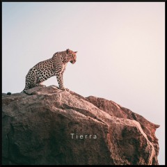 Tierra (feat. Aaron Sardiña)