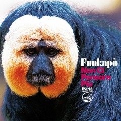 Non Ci Pensare Piu'(Original SoulFunky Mix) IRMA records