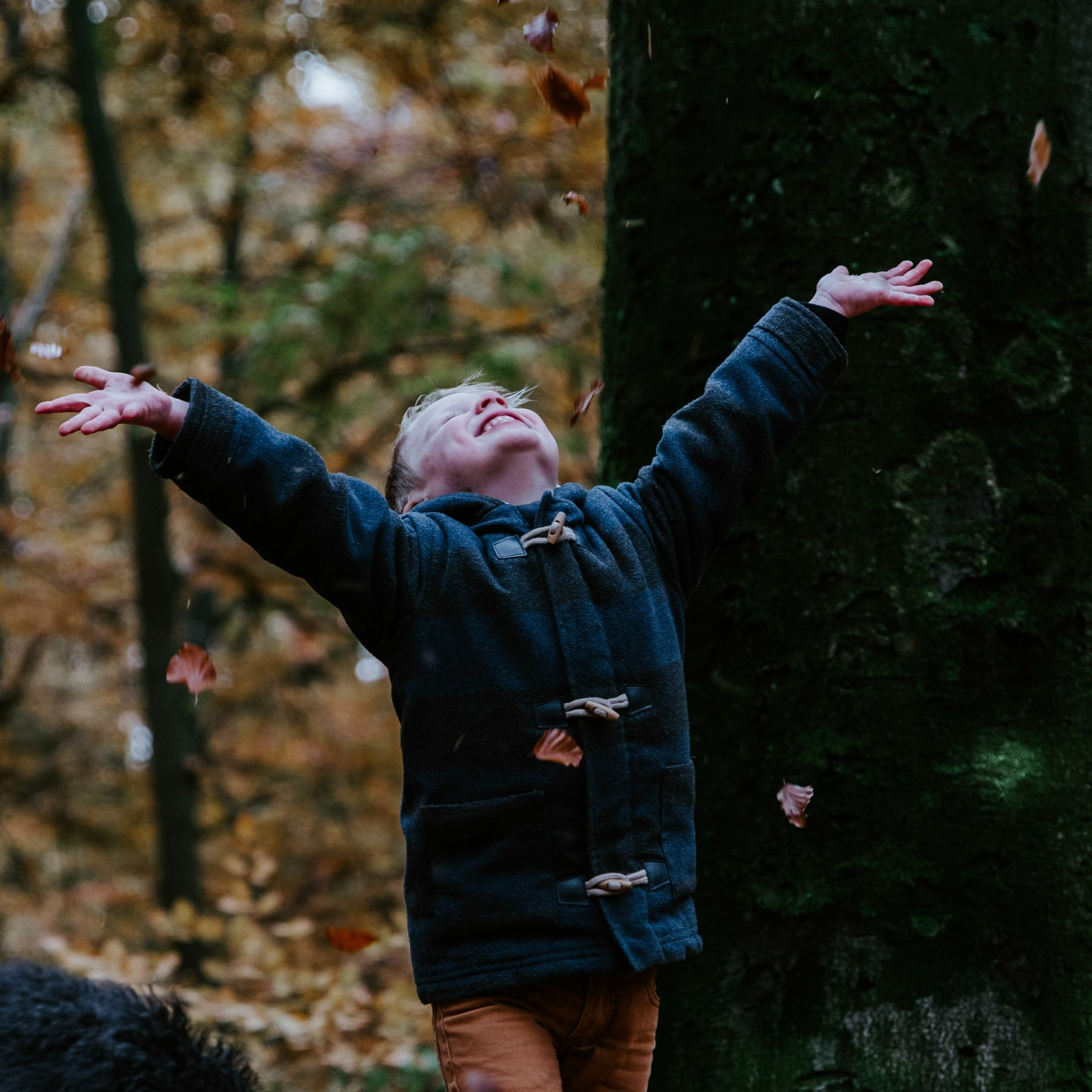 Inspirerende blogs en meditaties