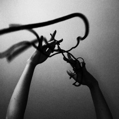 НЕКИЙТЫ - Кошка