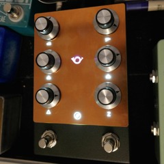 Fjord Fuzz GJALLARHORN on BASS