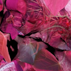 soft tissue - gesine 2