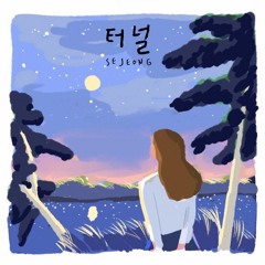 세정(Se Jeong) _ 터널(Tunnel) Acoustic Cover(male ver)