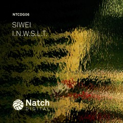 [NTCDG06] Siwei - I.N.W.S.L.T.
