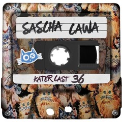 KaterCast 36 - Sascha Cawa - Heinz Hopper Edition