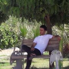 محسن لرستانی ــــ muhsin lurstani