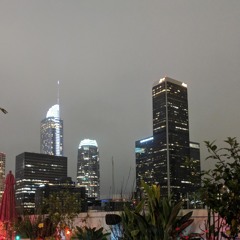 trich-worth it (p. fraser walker & 44ricko)