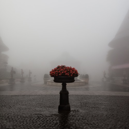 The Train Goes Into The Fog | Open to all