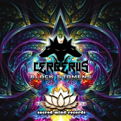 Cerberus - Black Stamens (Sample)out 07/12/019
