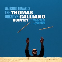 07 - Thomas Galliano - Unexpected Departure