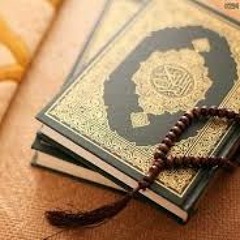 من فقه فضائل القرآن | محمد مصطفى عبد المجيد