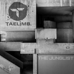 Premiere: Taelimb 'The Junglist' [Rebel Music]