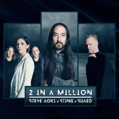 Steve Aoki x Sting x SHAED - 2 in a Million