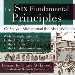 6 - Six Fundamental Principles - Uwais at-Taweel | Nigeria