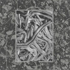 Premiere: Noform - Zablugdenie [Several Minor Promises]