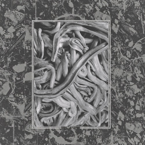 Premiere: Noform - Zablugdenie [Several Minor Promises]