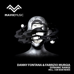Dynamic Range - Danny Fontana, Fabrizio Murgia (I AM BAM remix)