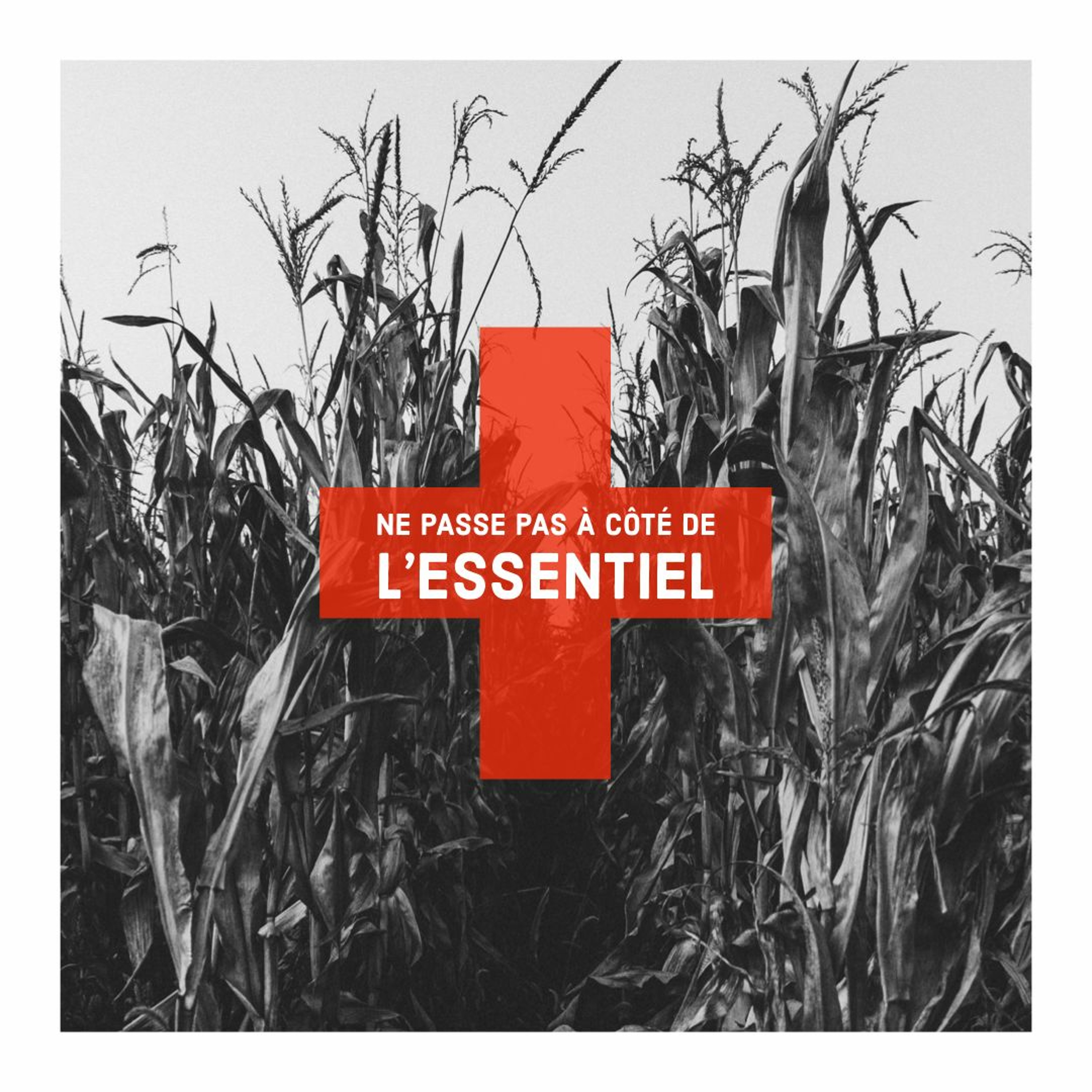 Jésus ne veut pas que tu passes à côté de l'essentiel episode artwork